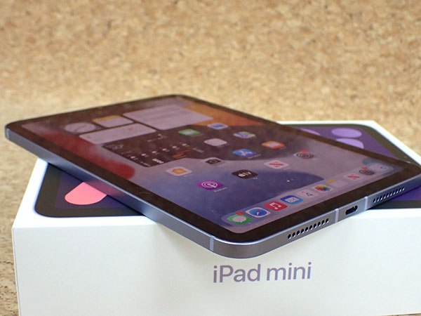 【中古 美品】国内版 SIMフリー iPad mini 6 第6世代 8.3インチ Wi-Fi+Cellular 64GB 2021年秋モデル